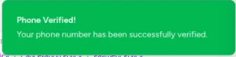 Phone Verified badge displayed in the test account UI after the manipulated verification flow