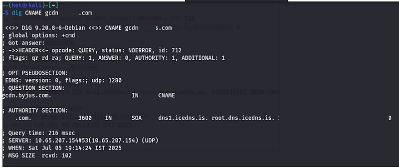 Manual dig output showing no CNAME answer and a TXT record for the investigated hostname