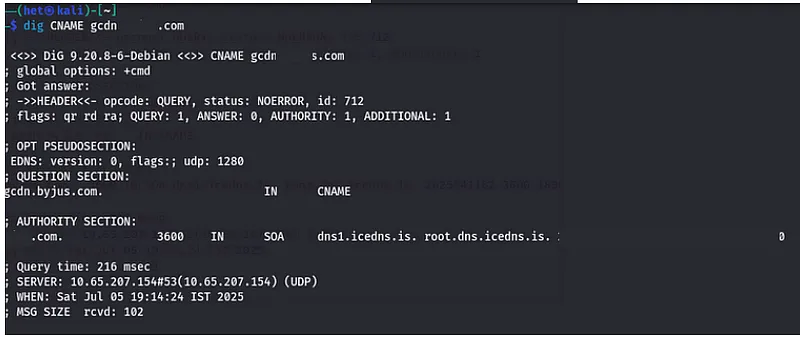 Manual dig output showing no CNAME answer and a TXT record for the investigated hostname